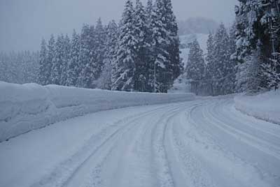 今日は、また雪になりました。