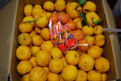 ブロ友のaruih26さんにお願いしていた柚子が届きました。