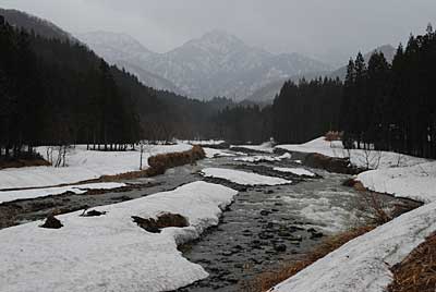 大源太川も雪代が出て水量が凄くなってきました。