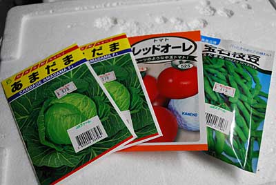長野の農協さんから購入して来た種です。