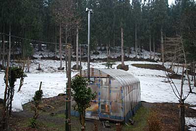 苗の植え替えが終わる頃には、雪が降って来ました。