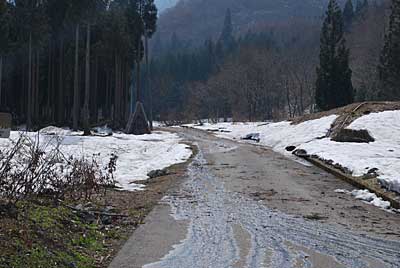 農園の畑に行く道の雪も消えて車が入るようになってしまいました。