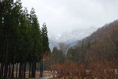 朝、大源太山をみると白くなっていました。