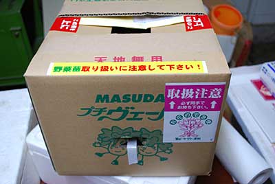 午後の１時過ぎにプチヴェールの苗が届きました。