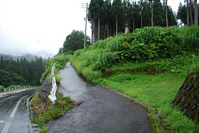 農園の裏の道路も草刈りをすることにしました。