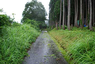 入り口の先の道路の両側はちゃんと草刈りをしてきれいになりました。