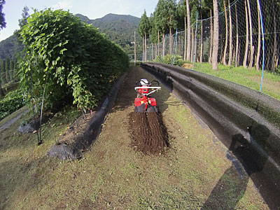 まずは、管理機のポチで耕耘しました。