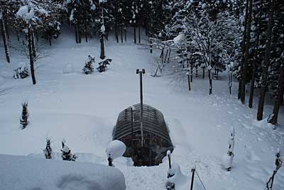 ずいぶんハウスが雪に埋まってしまいました。