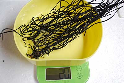 ２０ｇのワラビは、戻すと約２００ｇのワラビになります。