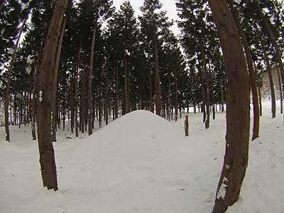 昨昨年の暮れに野菜を入れた雪室は良い具合に埋まっていました。<br>