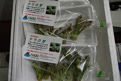 一パック５～６本入りで＠２００円です。