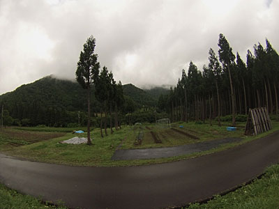 朝から小雨個模様で、絶好の草刈り日和になりました。 