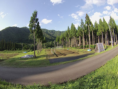 農園の畑と畑の周りの草刈りをしました。