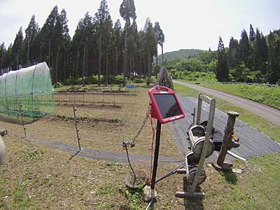 今日は、残りの電牧線を張って配線をしました。
