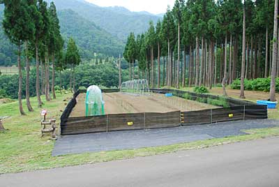 とりあえず、半分だけ猿よけアミの設置作業が終わりました。