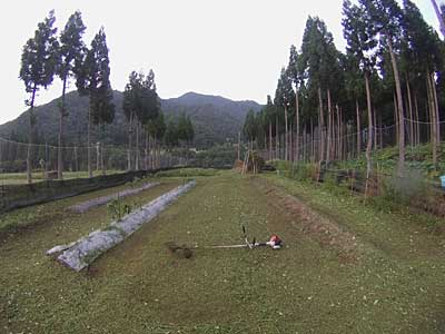 約２時間で、きれいになりました。