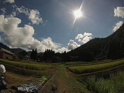 ずいぶん涼しくなりました。