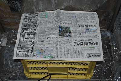 ヒーターを入れたコンテナの上には熱を遮断するように新聞紙を挟むことにしました。