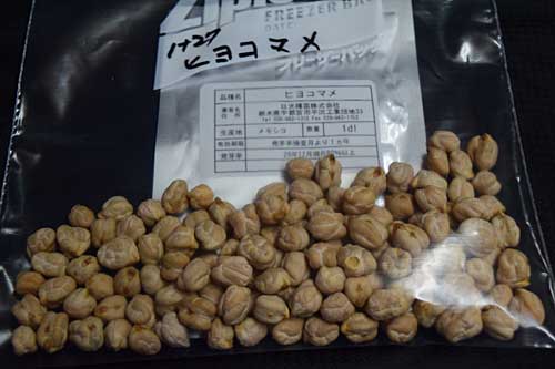 ヒヨコマメ、種が届きました。