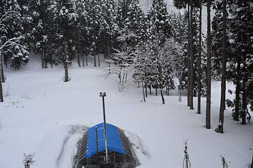 昨夜からまた雪に…。