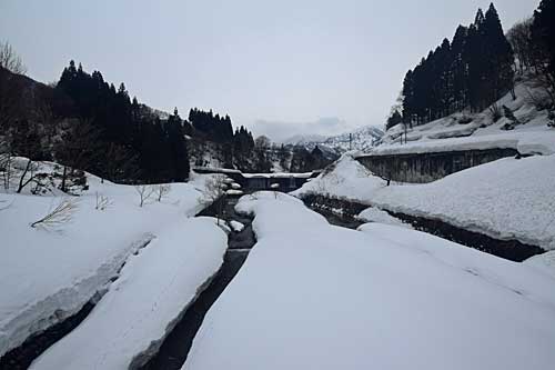 大源太川も少しばかり春の気配が。
