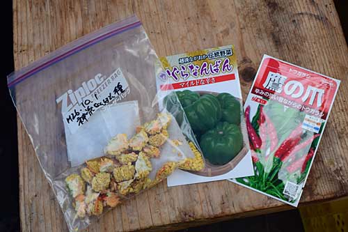 神楽南蛮と鷹の爪の種まきをしました。