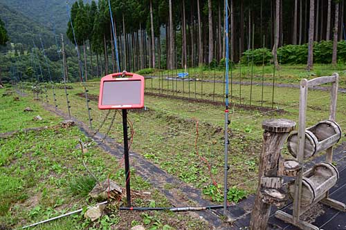 支柱を立てて電牧線を張っておくことにしました。