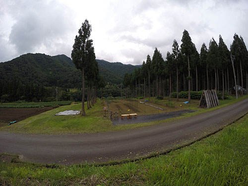 農園のメインの畑。