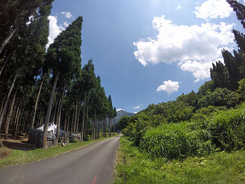 朝から風景は、夏空になりました。