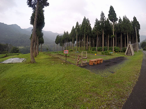 畑の回りの草刈りを３時間ほどして来ました。