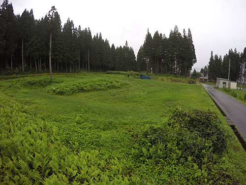 池の下の畑