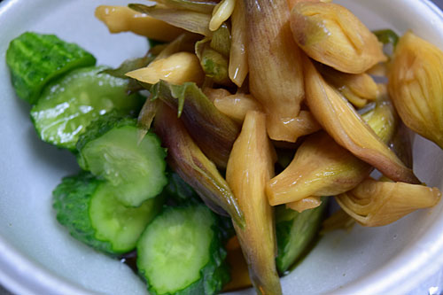 今夜も農園で穫れた野菜の漬け物で晩酌です。