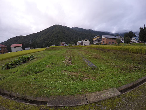 無煙炭化器で草木灰を作る予定。