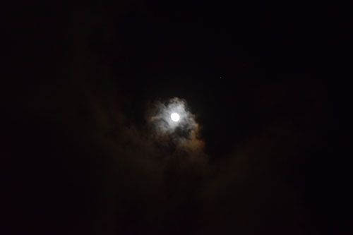 月が顔を出して来ました。