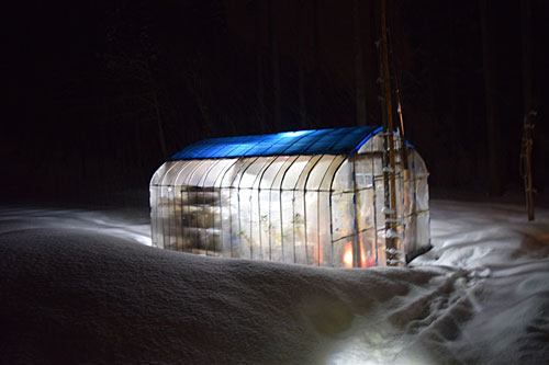 ハウスの除雪はまだ、一回もしていません。