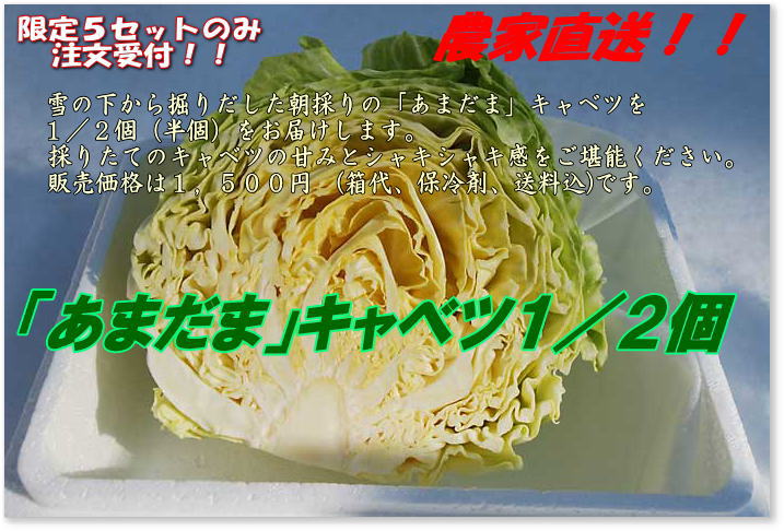匹_̒̂VNؔ̔tJn܂B