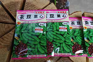 今日ゲットした種は、「茶豆里心」です