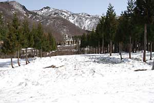 ユンボで除雪した畑の雪もだいぶ少なくなって来ました