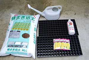露地畑用のトウモロコシの種まきをセルトレイにしました