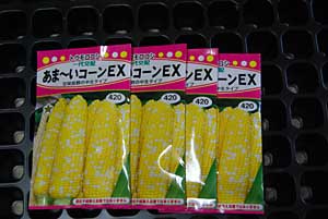 トウモロコシの種は、昨年と同じ「コーンＥＸ」を選びました