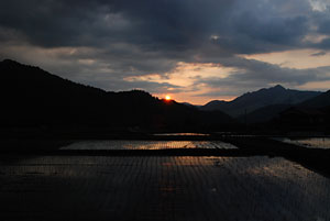 夕日２