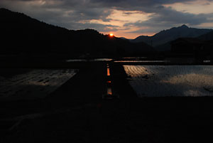 夕日３