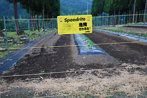 なんとか電牧線の設置が終わりました。