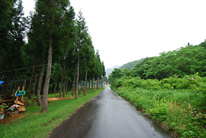 大源太も朝から雨になりました。