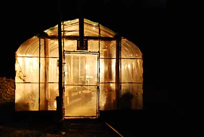 夕方、頑張ってパイプハウスを完成させました。