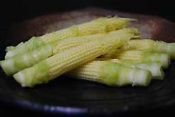 䥂ŏオOR[