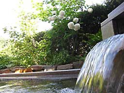 花咲の湯