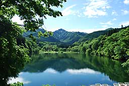 新緑の大源太湖