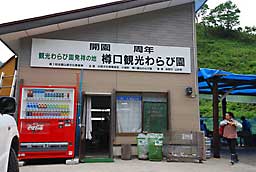 樽口観光わらび園