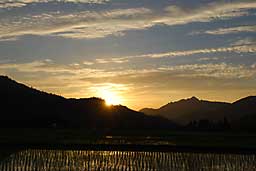 夕日